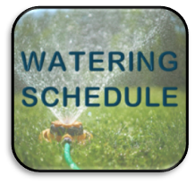 Water Schedule Image