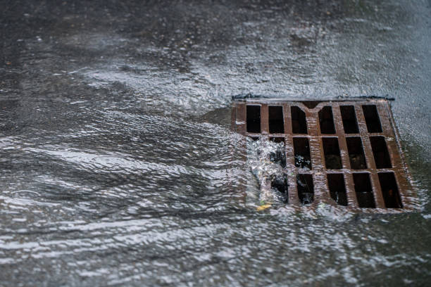 Storm Drain