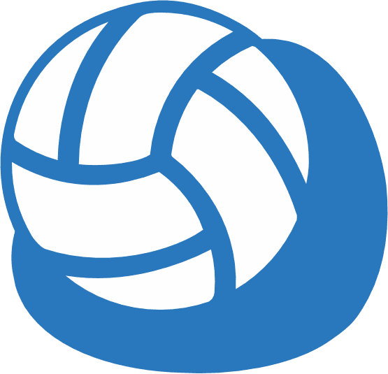 V-ball Icon